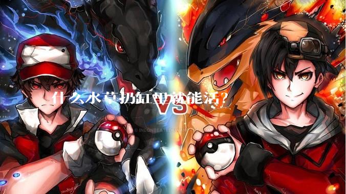 什么水草扔缸里就能活？