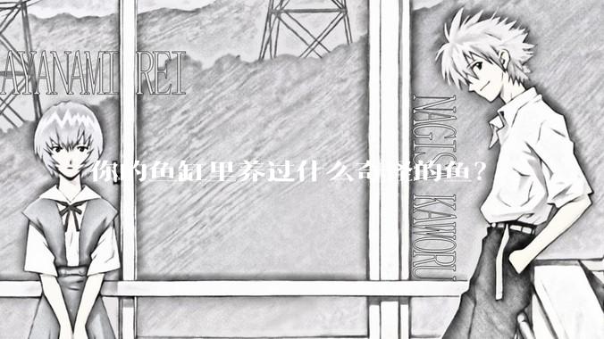 你的鱼缸里养过什么奇怪的鱼？