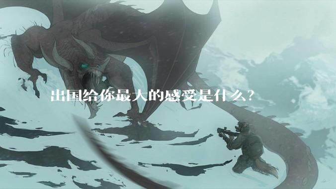 出国给你最大的感受是什么？