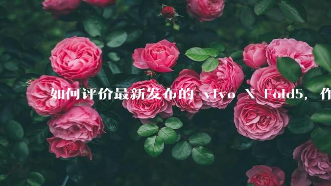 如何评价最新发布的 vivo X Fold5，作为首款「三防」折叠屏手机，都有哪些亮点值得关注？