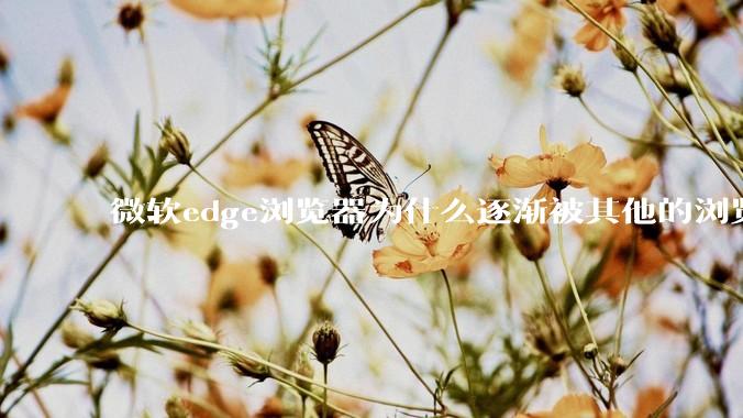 微软edge浏览器为什么逐渐被其他的浏览器代替？