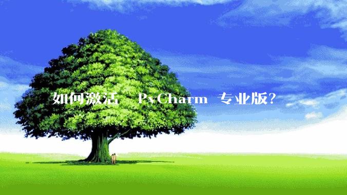 如何激活  PyCharm 专业版？