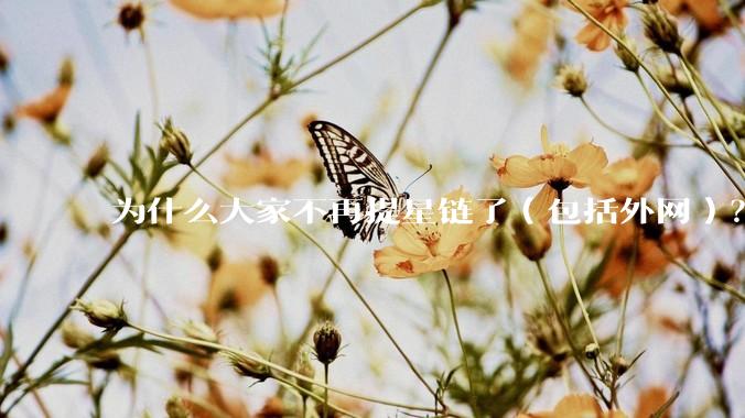 为什么大家不再提星链了（包括外网）？