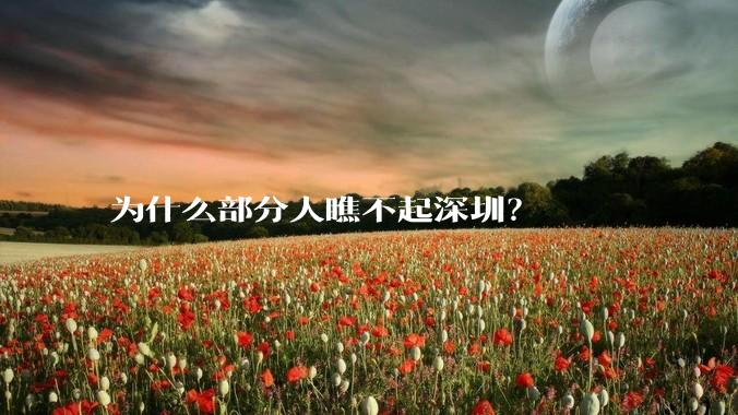 为什么部分人瞧不起深圳？