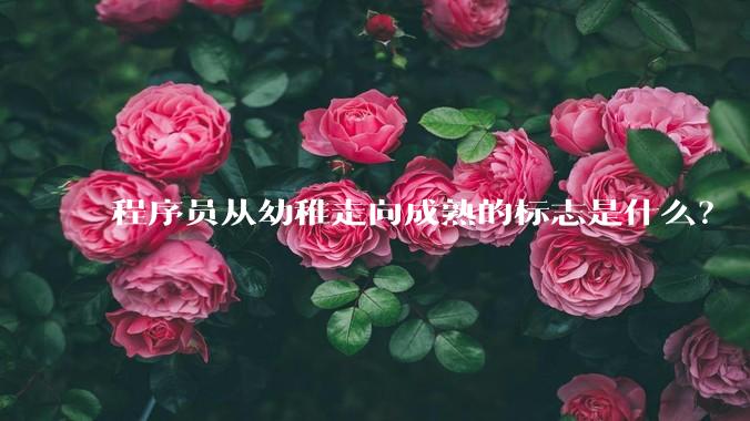 程序员从幼稚走向成熟的标志是什么？