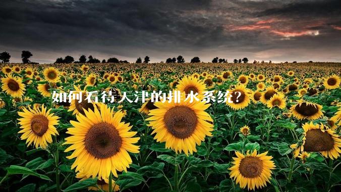 如何看待天津的排水系统？