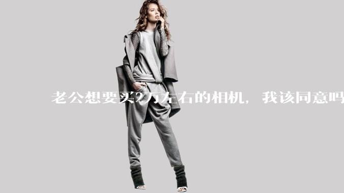 老公想要买2万左右的相机，我该同意吗？