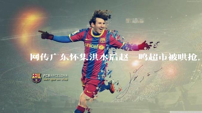 网传广东怀集洪水后赵一鸣超市被哄抢，县***回应相关单位正在核实，若属实哄抢者该承担哪些法律责任？