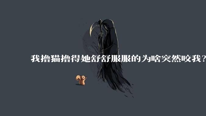 我撸猫撸得她舒舒服服的为啥突然咬我？